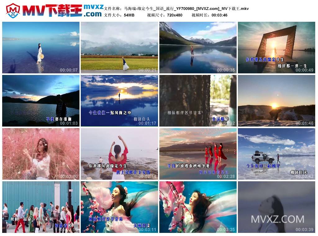 马海瑞-缘定今生_国语_流行_YF700980